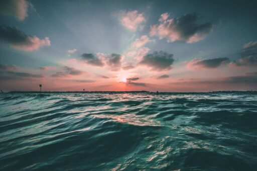 raymarine